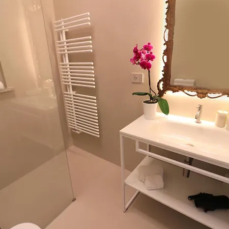 V-home V Collection *